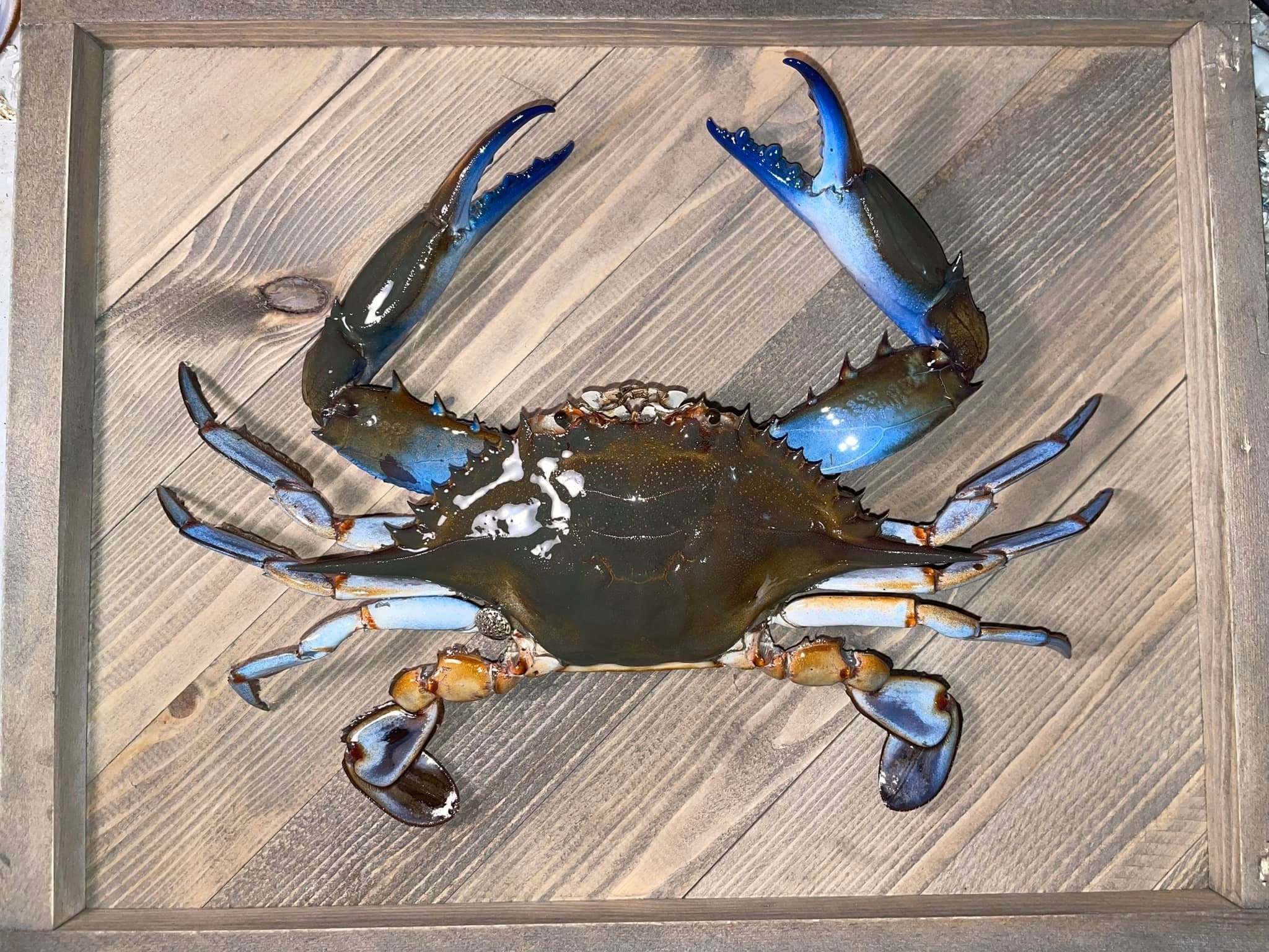 Chesapeake Centerpiece
